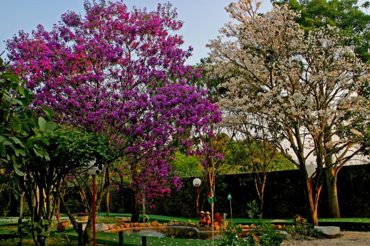Villa Buonabitacolo Sao Joao del Rei Bagian luar foto